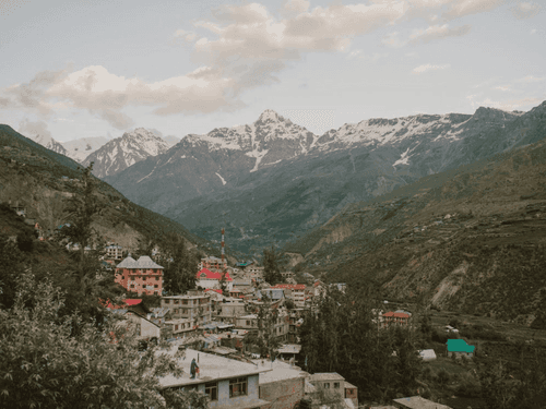 Conversas governamentais indicam avanço do cânhamo em estado indiano