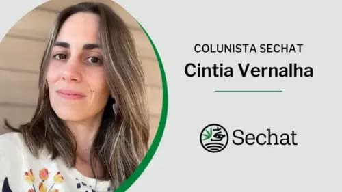 Cannabis – um mercado em crise?