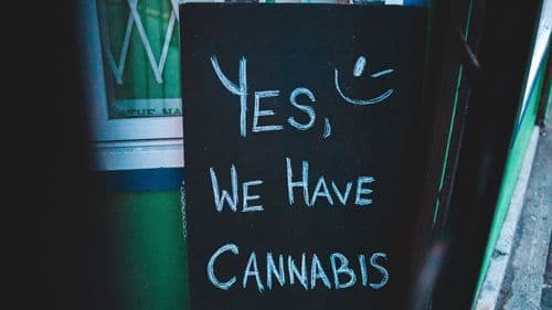 Imagem da noticia: Califórnia acelera mudanças para empresas de cannabis aproveitarem nova política federal dos EUA