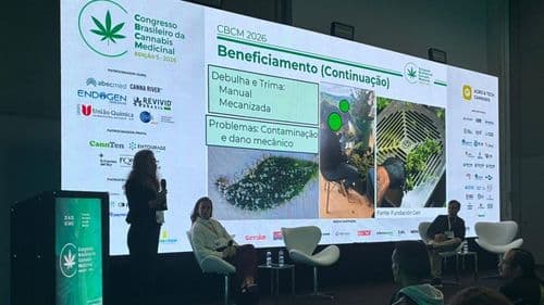 Imagem da noticia: Segundo dia do Congresso Brasileiro da Cannabis Medicinal destaca avanços clínicos e tecnológicos