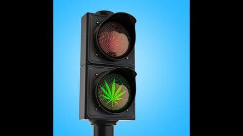 Imagem da noticia: Cannabis e direção: Congresso dos EUA avança com proposta para medir comprometimento de motoristas