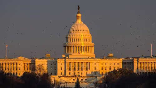 Cannabis no Congresso? Declaração de parlamentar chama atenção nos Estados Unidos