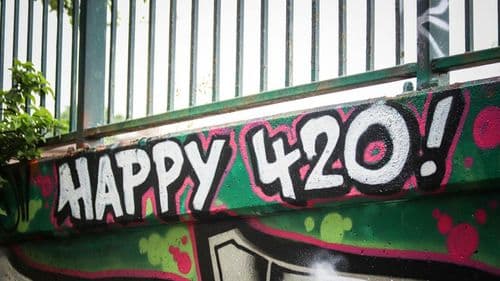 sex - Cannabis no 4/20: o “Black Friday verde