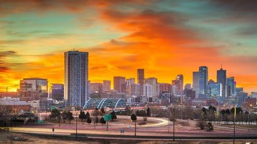 Imagem da noticia: Wanda James lança campanha ao Congresso com foco na legalização federal da cannabis