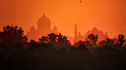 seg - Índia aposta na genética da cannabis para impulsionar mercado medicinal