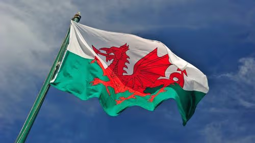 Imagem da noticia: País de Gales avança na proteção de pacientes que utilizam cannabis medicinal