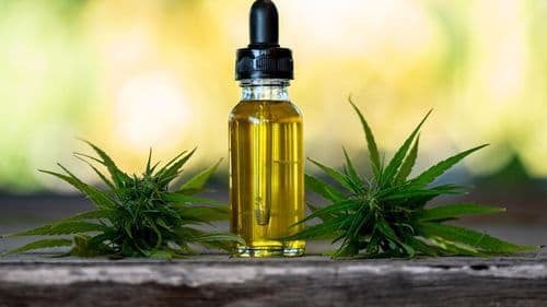 Imagem da noticia: Cannabis medicinal reduz uso de medicamentos prescritos entre pacientes na Alemanha, aponta pesquisa