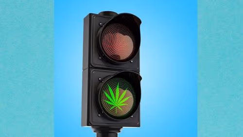 Imagem da noticia: Por que a desinformação ainda é barreira para a cannabis medicinal no Brasil