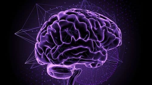 TER - CBD mostra potencial no tratamento da dor neuropática central