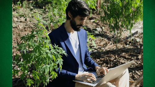 A base tecnológica que sustenta o crescimento do mercado de cannabis medicinal