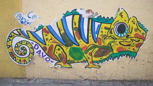 Imagem da noticia: Psicodélicos e cannabis: pesquisadora analisa nova fronteira da ciência