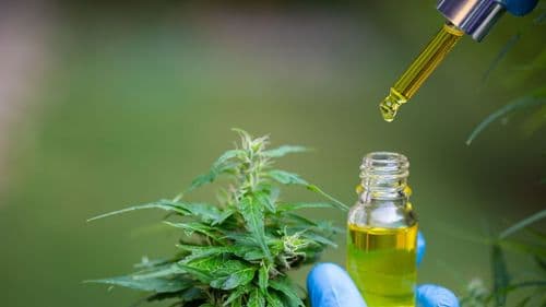 Importação de produtos à base de cannabis bate novo recorde e mantém curva histórica de crescimento no Brasil