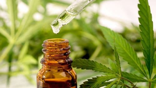 Imagem da noticia: Cannabis medicinal ganha apoio de 92% dos franceses, enquanto acesso permanece limitado