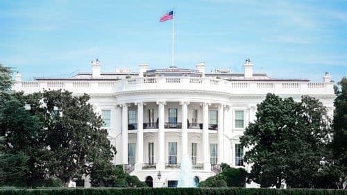 Trump redefine mercado de cáñamo: entre la regulación farmacéutica y la recaudación federal