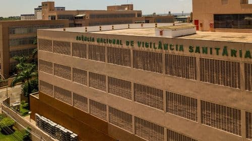 Deadline: Anvisa receives studies on cannabis cultivation until this Friday