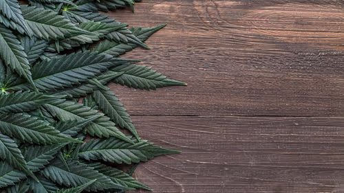 qui - Direção após uso de cannabis: o que diz novo estudo observacional