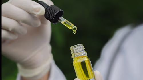 Imagem da noticia: Pesquisa clínica avalia cannabis no Alzheimer em Jundiaí