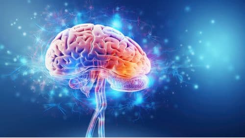 Biografia do Autor Especial Sechat