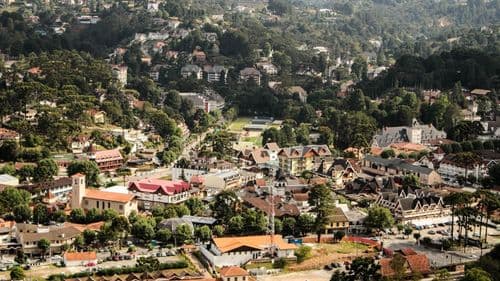 Campos do Jordão (SP) protocoliza projeto de lei para distribuição de Cannabis medicinal pelo SUS