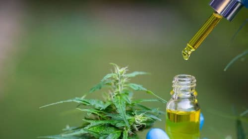 ter - Justiça garante canabidiol gratuito a criança com TEA em MG