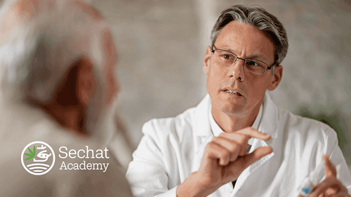 Cresce o número de pacientes de cannabis, mas muitos médicos ainda estão despreparados para prescrever