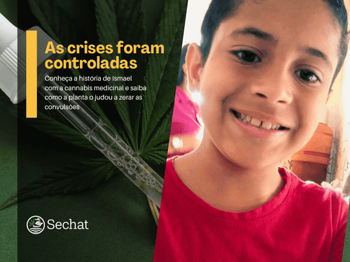 Criança de 9 anos zera crises convulsivas refratárias após tratamento com cannabis medicinal