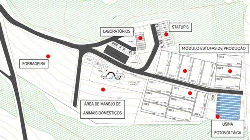 En una superficie de 5,5 hectáreas, la UNESP inaugura un centro de investigación y cultivo de cannabis