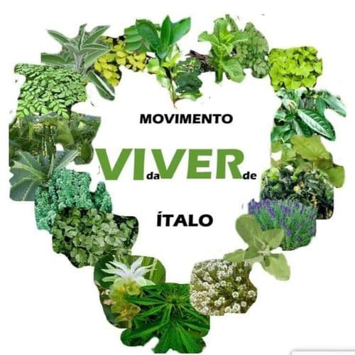 Curso sobre cannabis medicinal é oferecido para todos os públicos