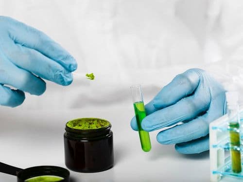 Da história aos perigos atuais: explorando o mundo dos canabinoides sintéticos