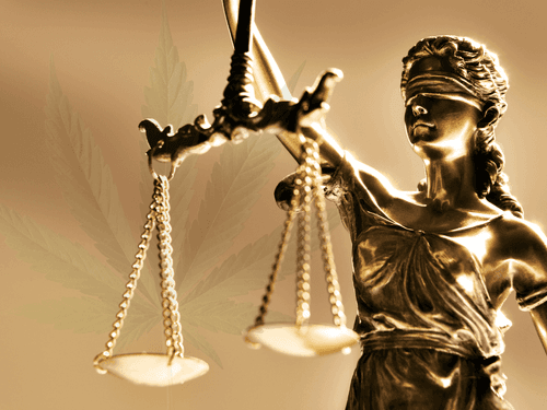 Decisões judiciais impulsionam gastos e debate sobre cannabis medicinal no Brasil