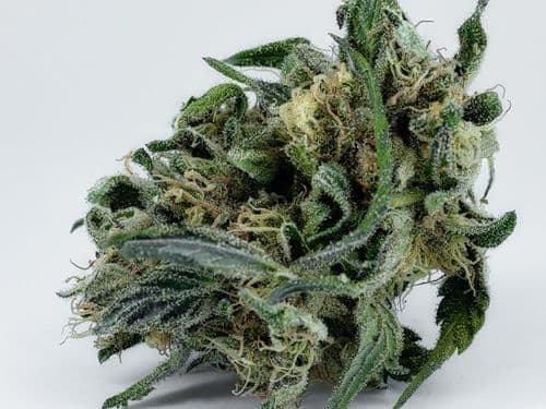 Descarboxilación del cannabis: liberando el poder terapéutico