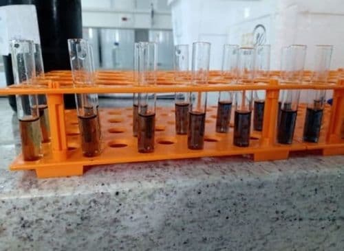 Descobertas reveladoras: cannabis no combate às doenças neurodegenerativas