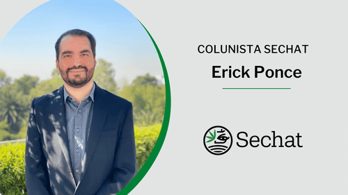 Desinformação e cannabis: outro mercado paralelo