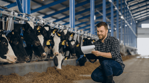 EUA: FDA avalia solicitação sobre liberação de sementes de cannabis para alimentação animal