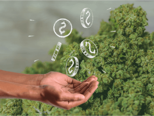 EUA: Imposto com maconha soma US$ 3 bilhões