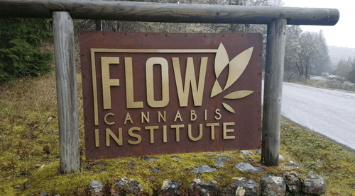 EUA: empresa que levantou US$ 200 milhões pode não sobreviver até 2025