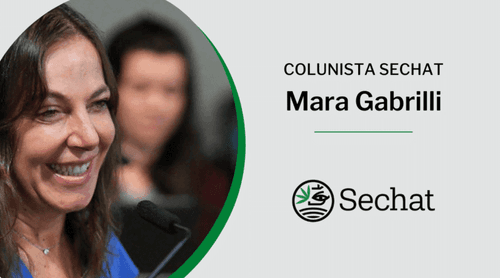 É urgente regulamentar o plantio da cannabis para uso medicinal