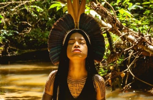 Empresa de cannabis medicinal desenvolve projeto em parceria com comunidades indígenas do Médio Xingu