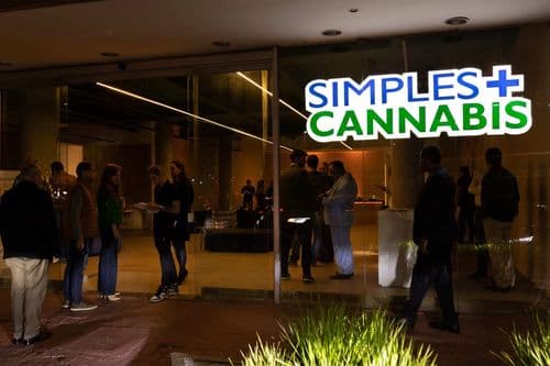 Empresa inaugura espaço de convivência canábico em São Paulo
