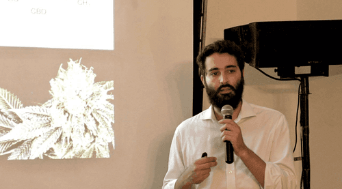 Especialista afirma que es imposible disociar el uso terapéutico del cannabis de la ley de drogas