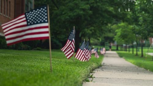 Imagem da noticia: Agencia de EE. UU. planea autorizar la cobertura de CBD por Medicare