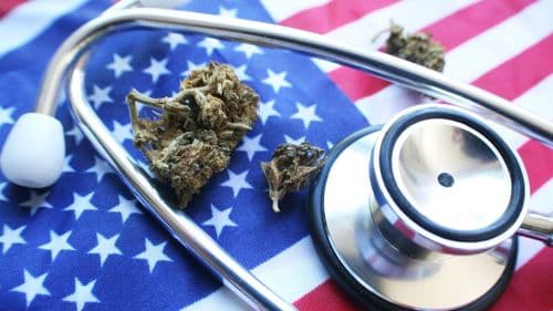 American Council of Cannabis Medicine announces initiative to expand access to plant in the US