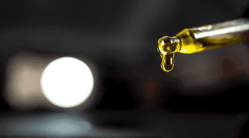 Uso de cannabis no tratamento da leucemia pode ser até 75% mais eficaz que o tratamento convencional