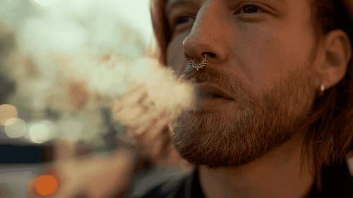 Estudo no Reino Unido desfaz mito do “maconheiro preguiçoso”