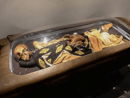 Explorando os vínculos históricos entre a cannabis e o câncer: O Caso da Princesa de Ukok