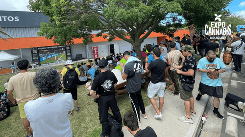 ExpoCannabis atrai estrangeiros em sua 9° edição