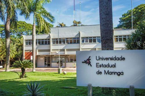 Foro en la UEM debate el futuro del cannabis medicinal en Paraná