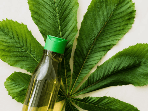 França propõe restrição do uso de CBD em cosméticos
