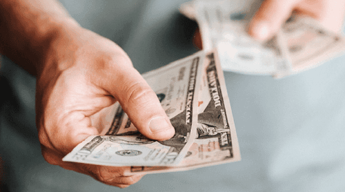 Imagem da noticia: Aurora Cannabis compra Safari Flower por US$ 26,5 milhões