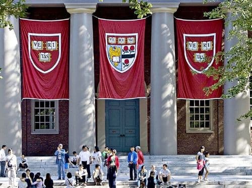 Harvard recebe aporte milionário para pesquisa com psicodélicos
